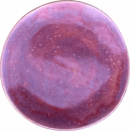 dusk plate