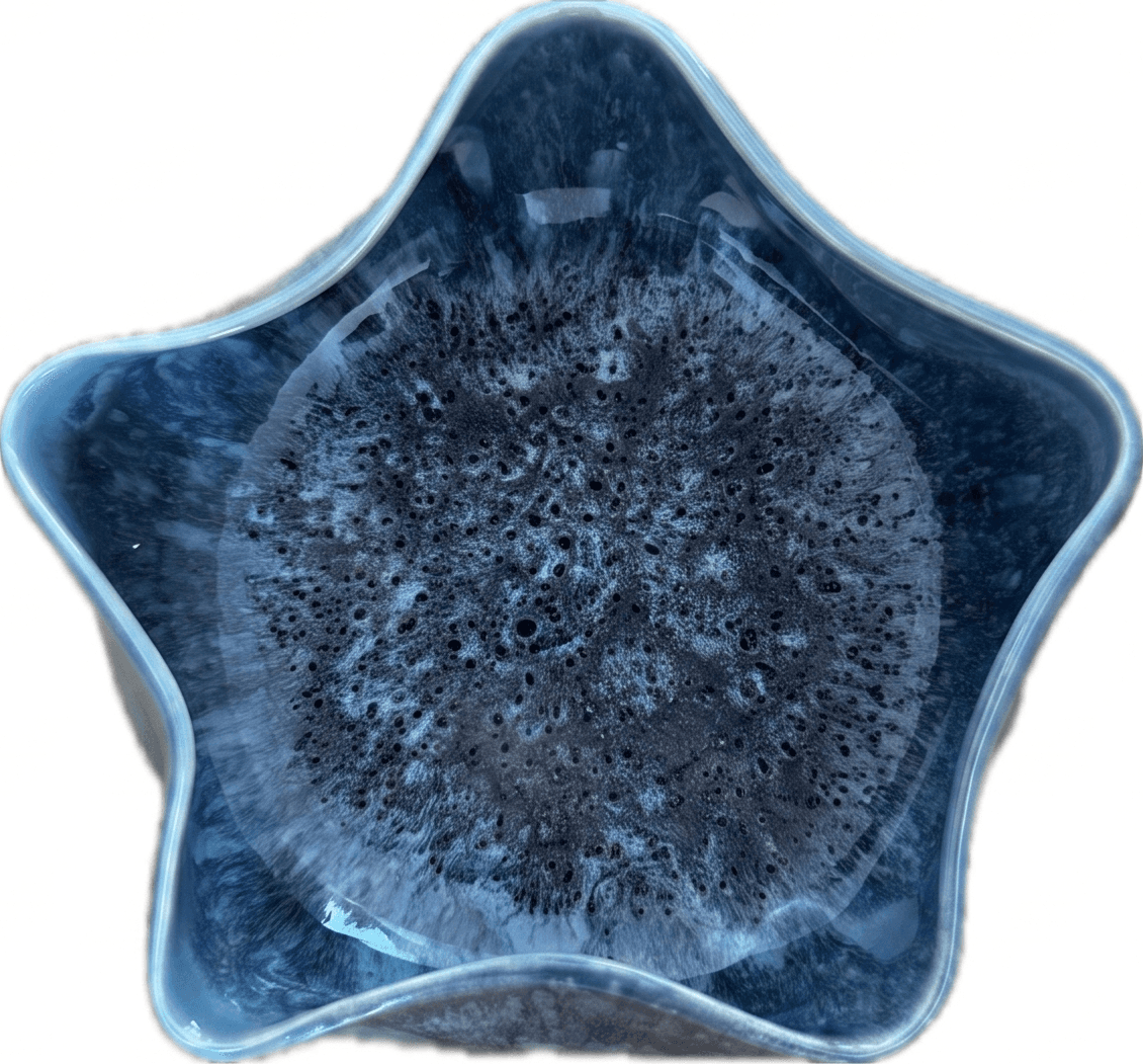 midnight-star-dish.png