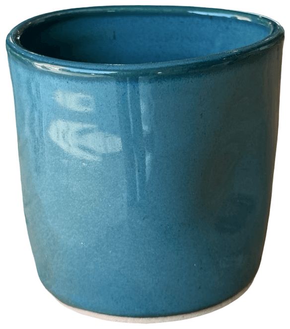turquoise cup